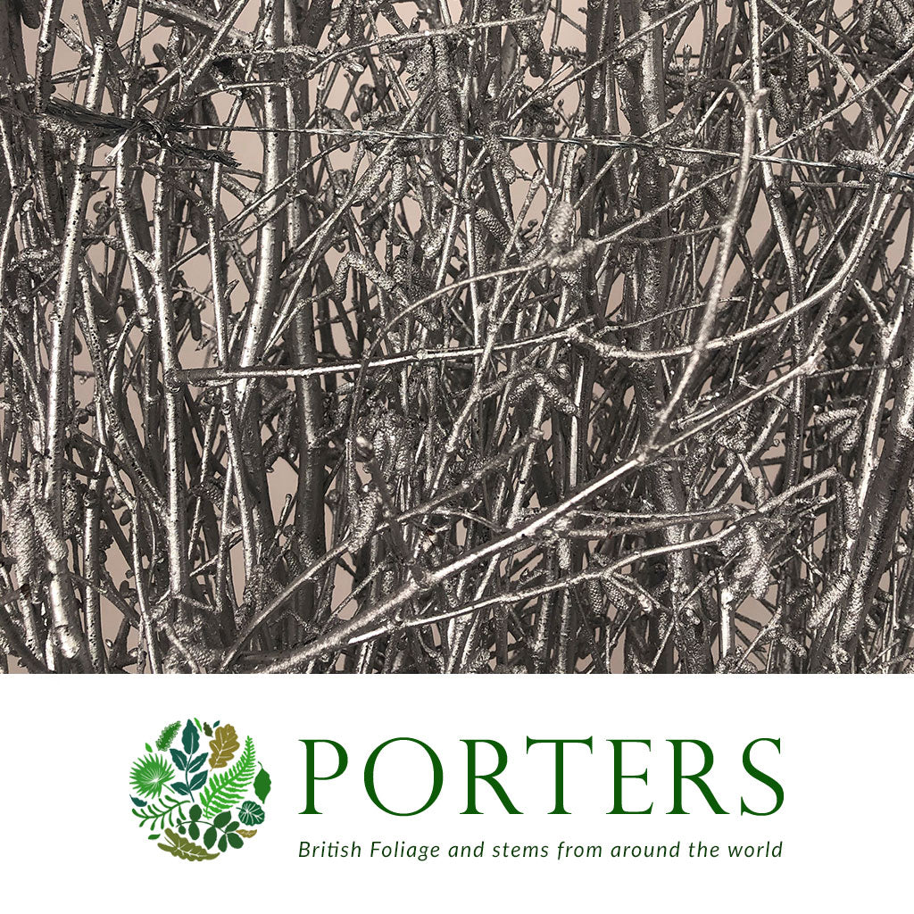 Hazel Catkin 4' (Painted/Glitter) (Various Colours)