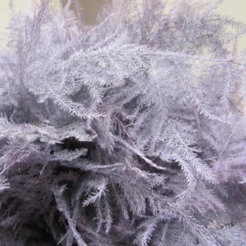 Fern 'Asparagus' (Painted) 45cm (Various Colours) (x50)