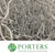 Salix 'Golden Curls' (Painted) Various Colours) 130cm (x50st)