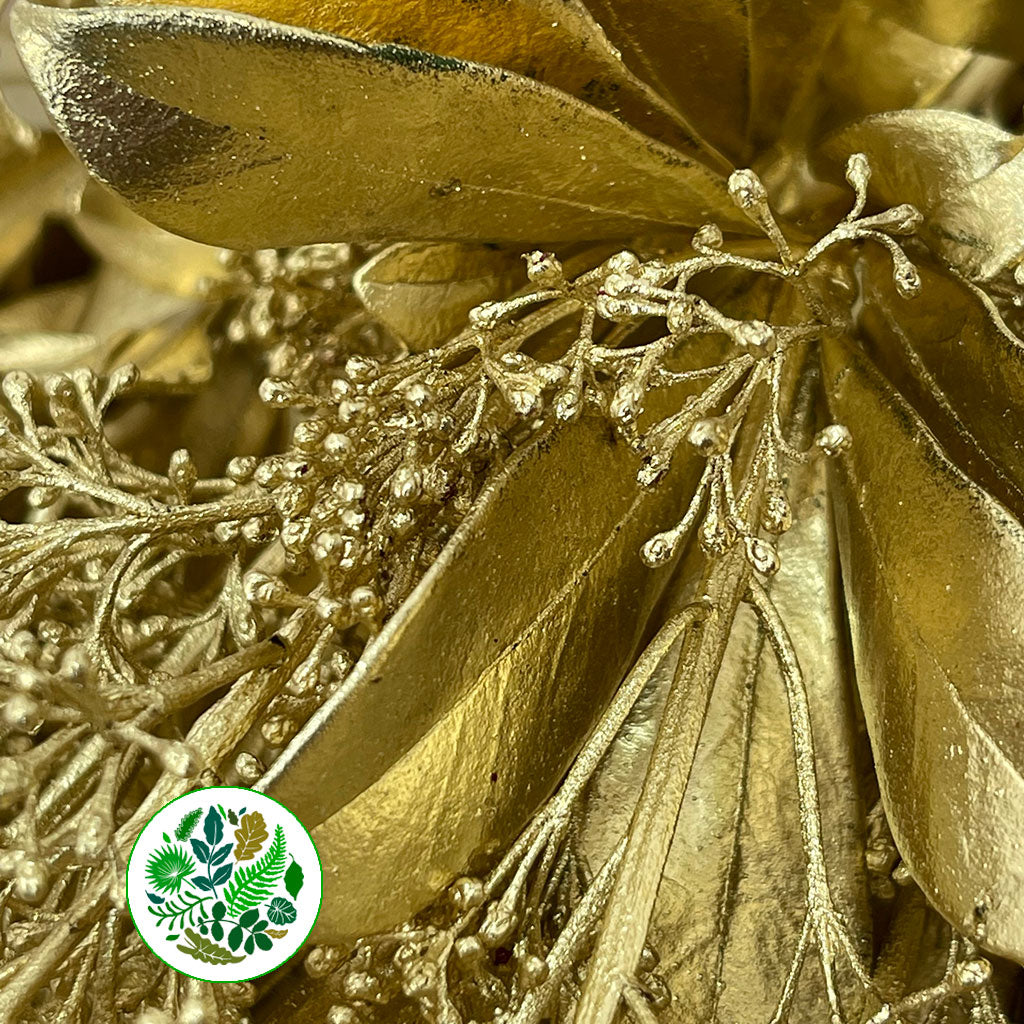 Skimmia (Painted) (Various Colours)