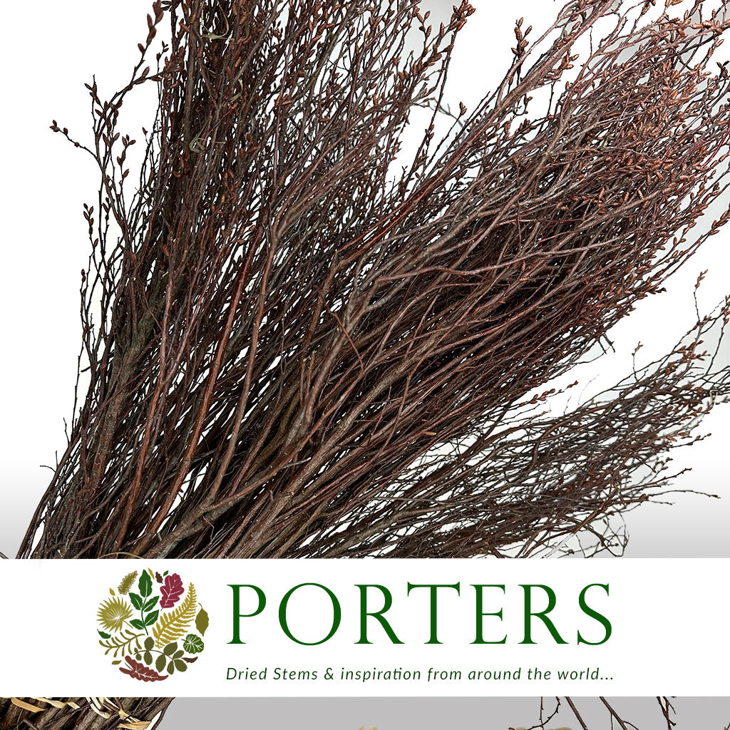 Twigs &#39;Gaggle&#39; (DRY) (x10) (Various Lengths)