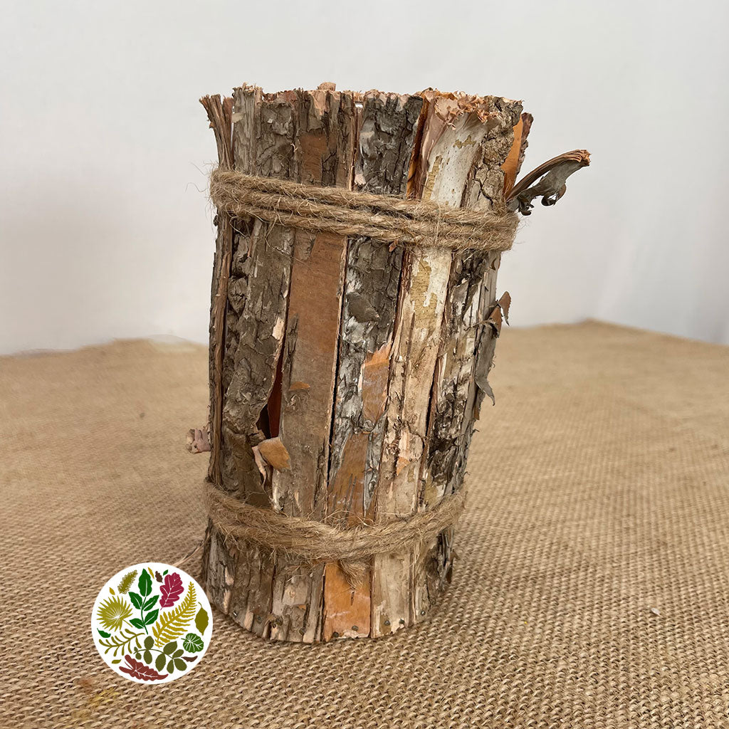 Birch Bark 'Pot' (4 test Tubes) (D10cm x H16cm)
