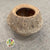 Nuts 'Chapeuzinho Pod' (Natural) (DRY) (D10-14cm)