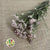 Rice Flower 'Pink' (DRY)