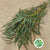 Eucalyptus 'Exotica' (300g)