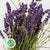 Lavender 'Hidicote' (200g)