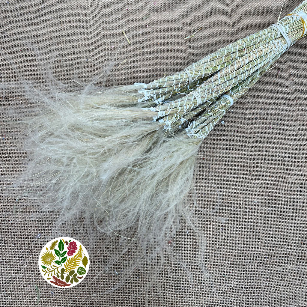 Grass &#39;Stipa Pennata&#39; (Natural) (DRY) 55cm