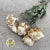 Peony White Dry 50cm (x5st)