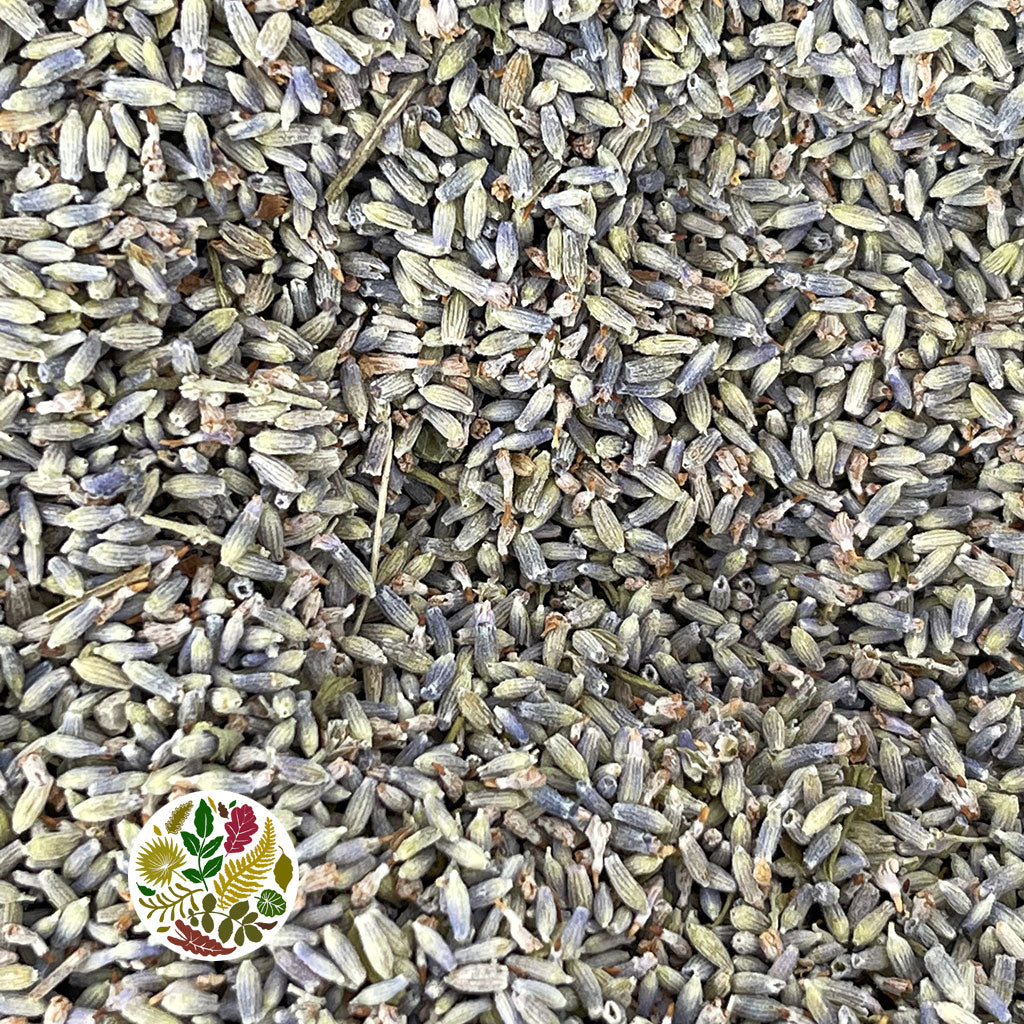 Lavender &#39;Flower Seed&#39; (DRY) (400g)