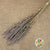 Statice 'Sea Lavender' (DRY) 90cm (x10)