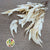 Eucalyptus 'Willow' (Bleached) (DRY)