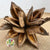 Sororoca Penca Flower DRY (Natural)