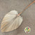 Palm 'Spear Palm' (Super) (Natural) 1m (DRY) (stem)