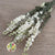 Delphinium 'Flowers' (Natural White) (DRY)