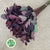 Cotinus 'Royal Purple' 60cm (x10)