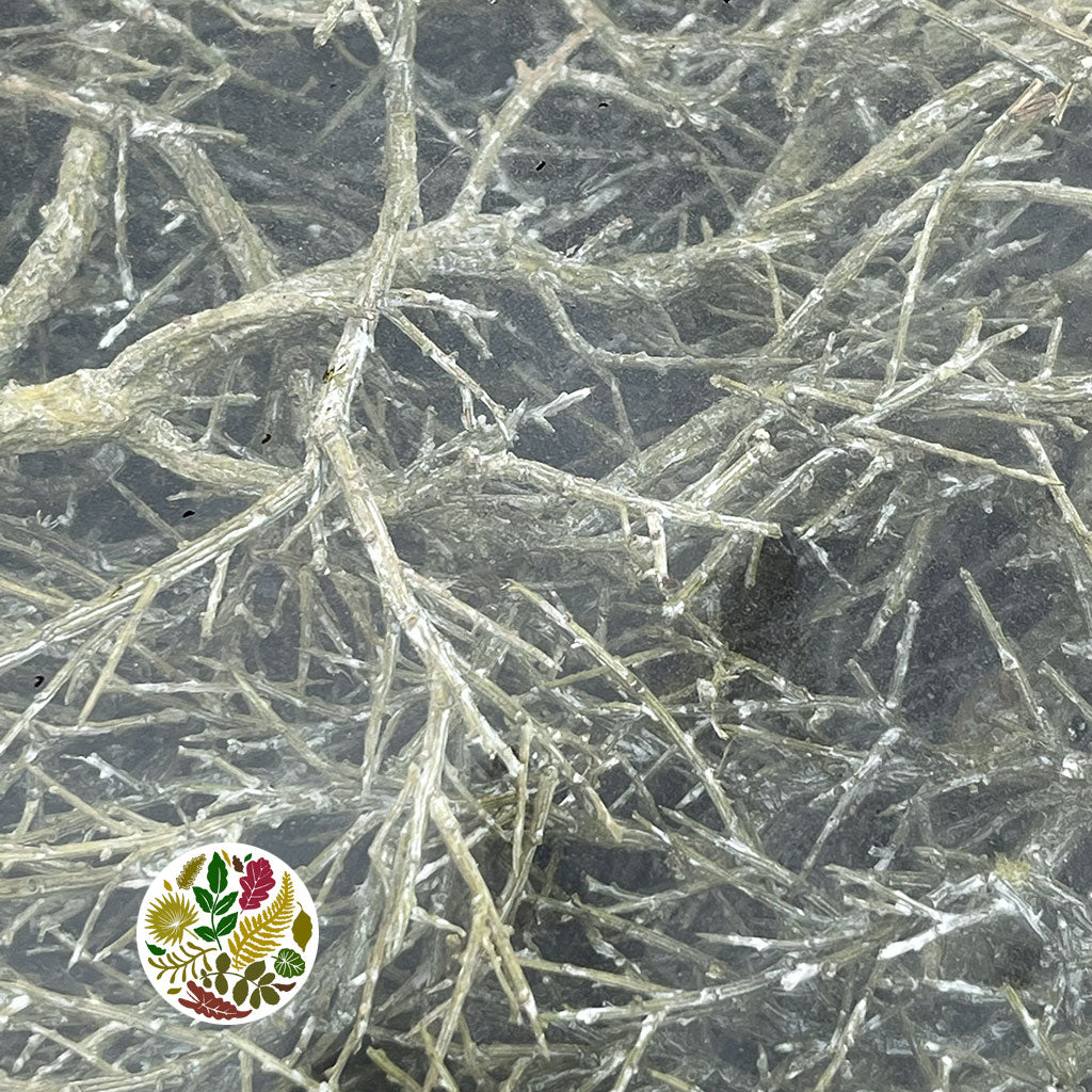 Iron Bush 'Natural Green' Box (DRY) (750g)