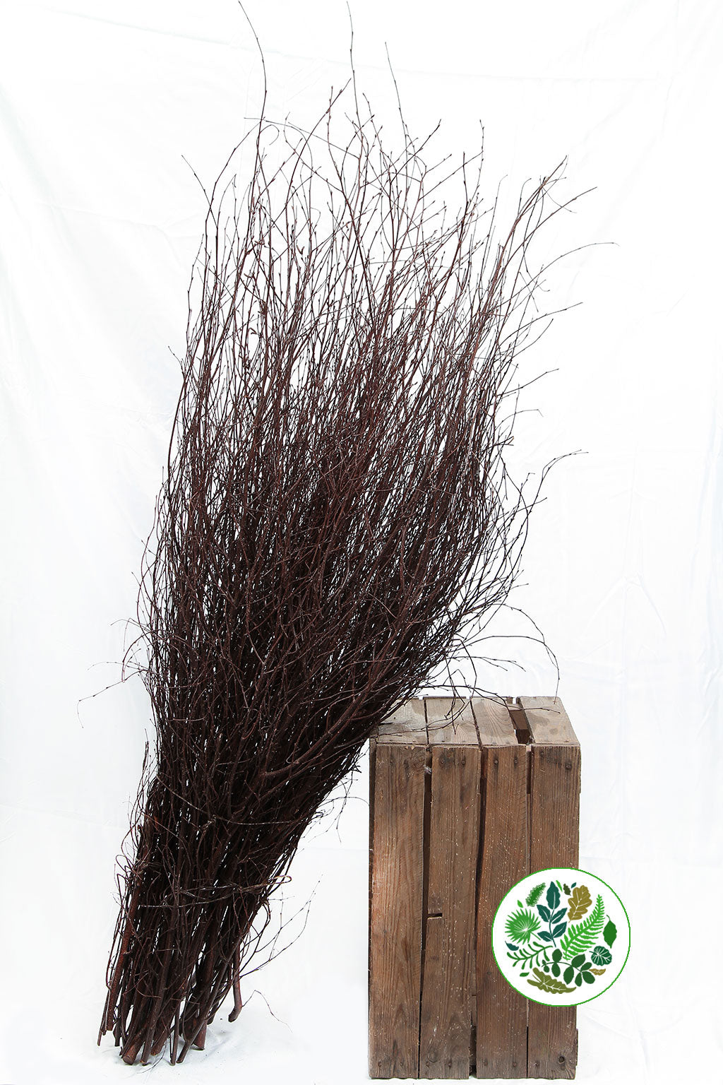 TWIG &#39;BROWN-Natural Brown&#39; (Painted)