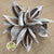 Sororoca Penca Flower DRY (White wash)