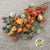 Physalis 'Orange' (Chinese Lanterns) (DRY)