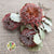 Protea 'Banksia' (Coccinea) (DRY) (x3)
