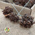 Eucalyptus 'Pods' (on wire) Natural 'Spider gum Knobs' (35pcs)