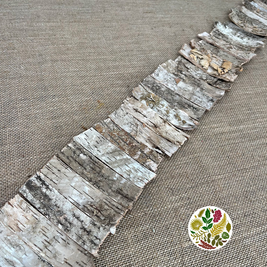 Birch Bark &#39;Ribbon Birch&#39; (DRY) (90cm x 11cm)