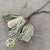 Protea 'Banksia' (Prionote) DRY (x2)