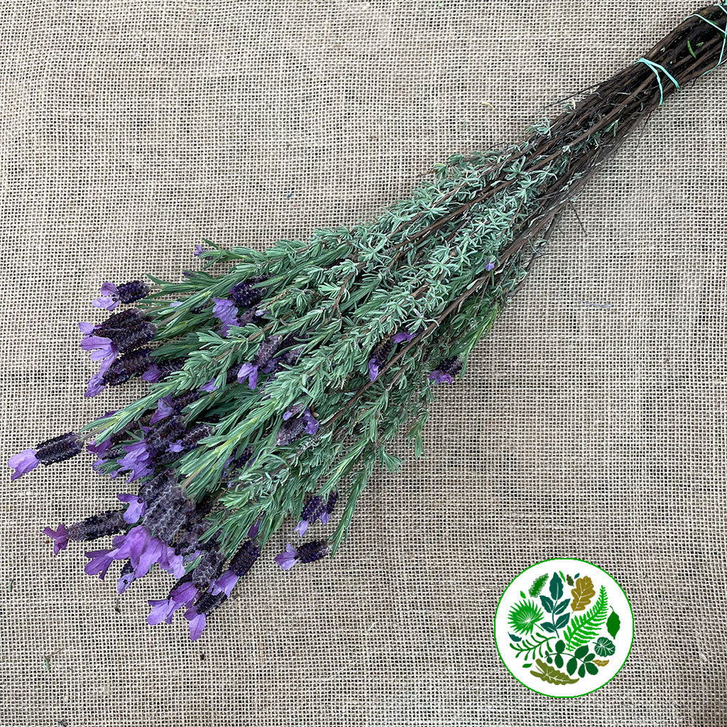 Lavender Stoechas 'French Lavender' (200g)