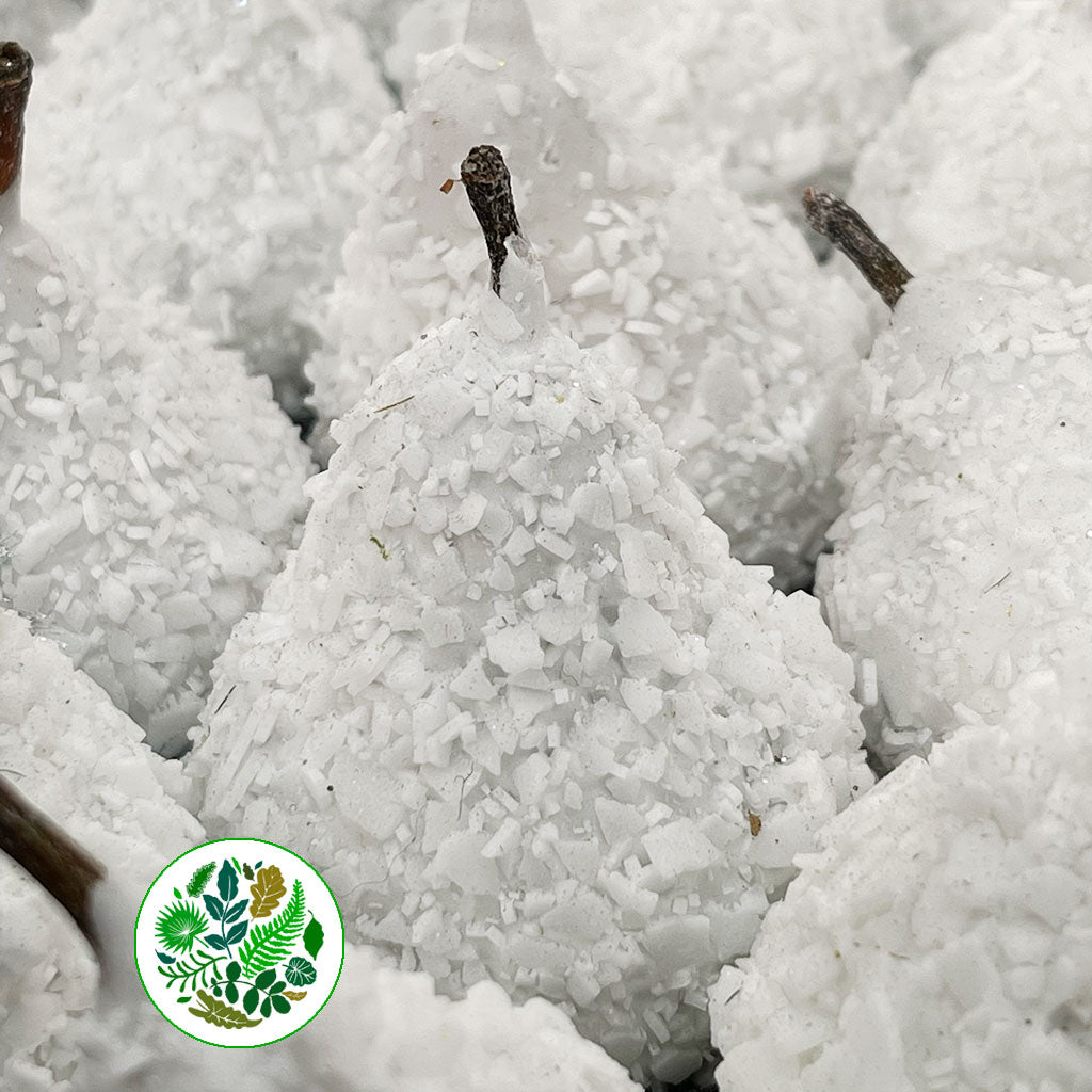 Waxed 'Pears' (Snow) (x39)