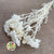 Achillea 'Parker' (Bleached) (DRY)