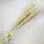 Grass 'Sorgum' (Natural) (DRY) 70cm (100g)