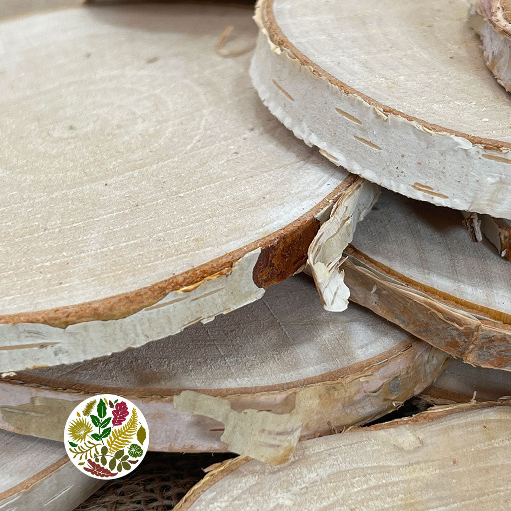 Birch 'Mini Slices' (DRY) (Bag)