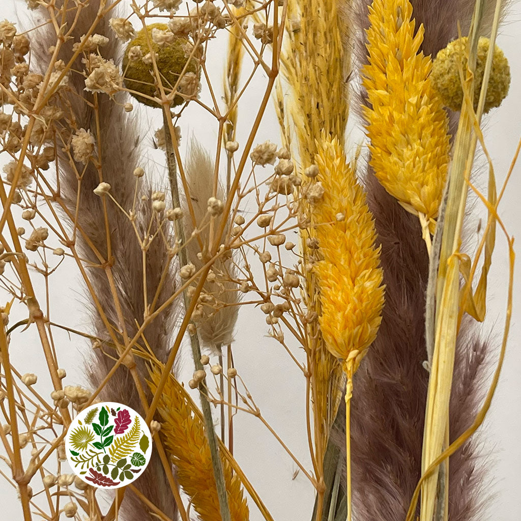 Dried 'Arrangement' (in a Bottle) (H77cm x D6.5cm x L19cm)