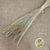 Dry Bouquet 'Tarai Grass' 75cm