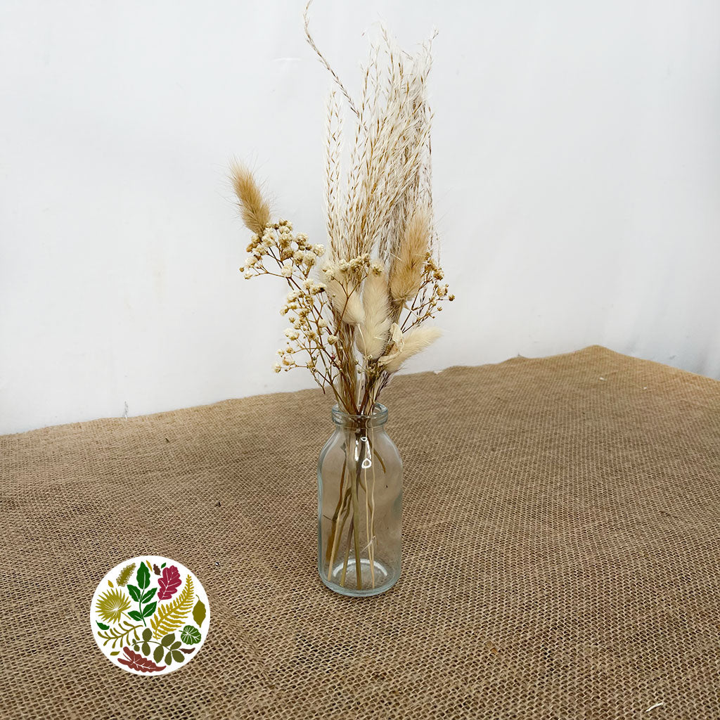 Dried 'Arrangement' (in a Bottle) (H37cm x D4.5cm x W10.5cm)