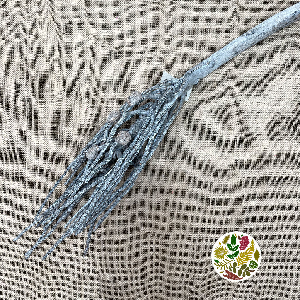 Motherbotay 'Stick' (White Wash) (DRY) 70cm