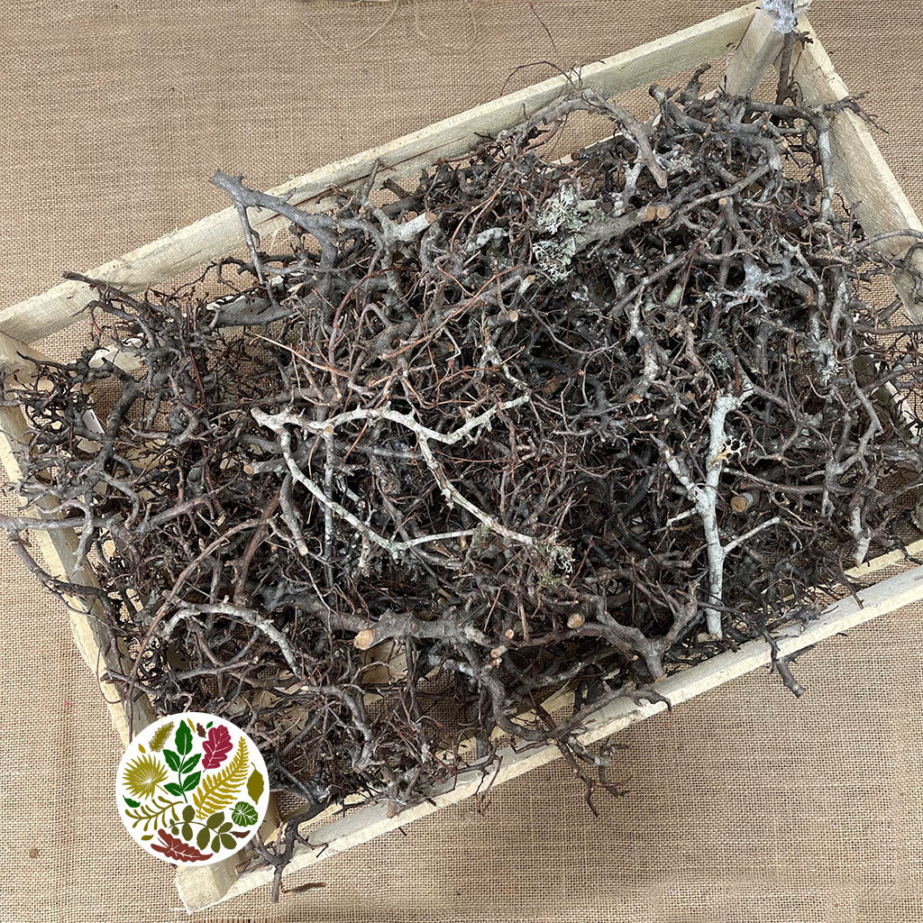 Bonsai &#39;Pieces&#39; (Natural) (DRY) Box