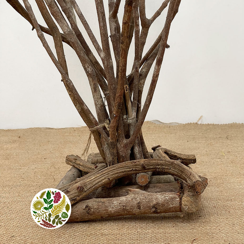 Crazy Vine 'Wild Arrangement' (Natural) (DRY) (L16cm x W16cm x H50cm)