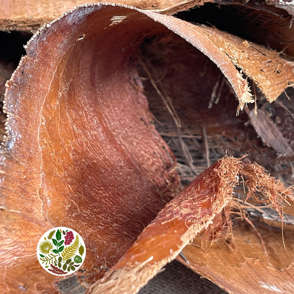 Palm 'Rind (Hard Bark) (Natural) (x10)