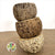 Coconut 'Ourico' (Natural) (DRY) (D10cm)