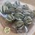 Fruit 'Orange Whole (Green Natural) (DRY) (250g)