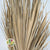 Palm 'Washingtonia' (DRY) XL 2m (Per Stem)