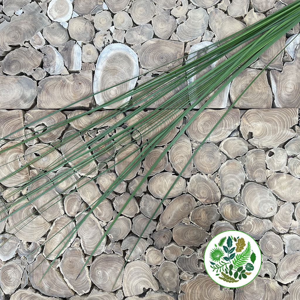 Grass 'Steel Grass' (x35) 1.2m