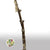 Lichen 'Sticks' DRY 2m