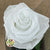 Rose (Single Stems) 'Preserved' (DRY) 50cm (x1)