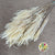Fern 'Helechos' (Bleached) (DRY) 75cm