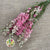 Delphinium 'Flowers' (Natural Pink) (DRY)