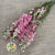 Delphinium Flowers DRY (Naural Pink)