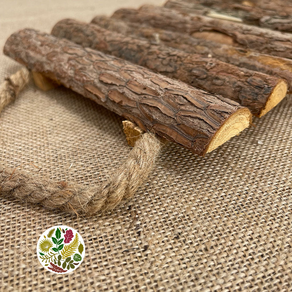 Bark 'Locust Plate' (DRY) (L57cm x W20cm)