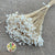 Glixia 'Flower' (Bleached) (DRY) 45cm